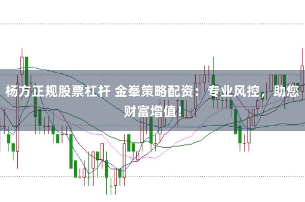 杨方正规股票杠杆 金峯策略配资：专业风控，助您财富增值！