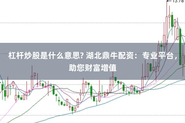杠杆炒股是什么意思? 湖北鼎牛配资：专业平台，助您财富增值