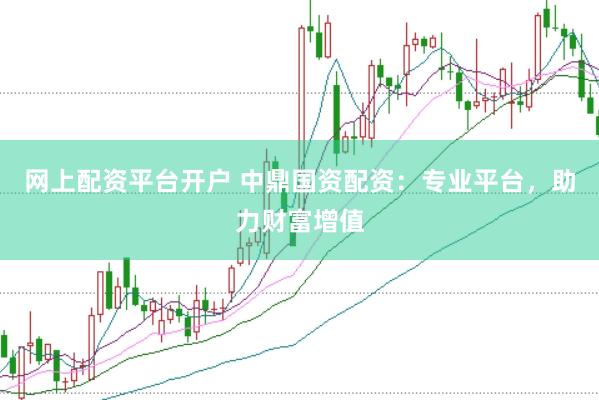 网上配资平台开户 中鼎国资配资：专业平台，助力财富增值
