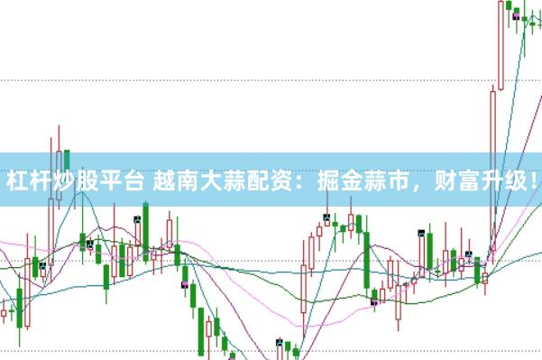 杠杆炒股平台 越南大蒜配资：掘金蒜市，财富升级！