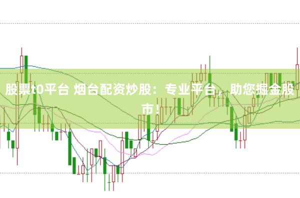 股票t0平台 烟台配资炒股：专业平台，助您掘金股市！