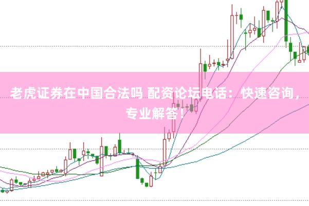 老虎证券在中国合法吗 配资论坛电话：快速咨询，专业解答！