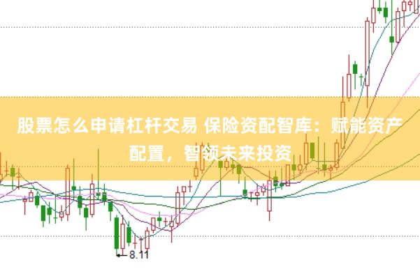 股票怎么申请杠杆交易 保险资配智库：赋能资产配置，智领未来投资