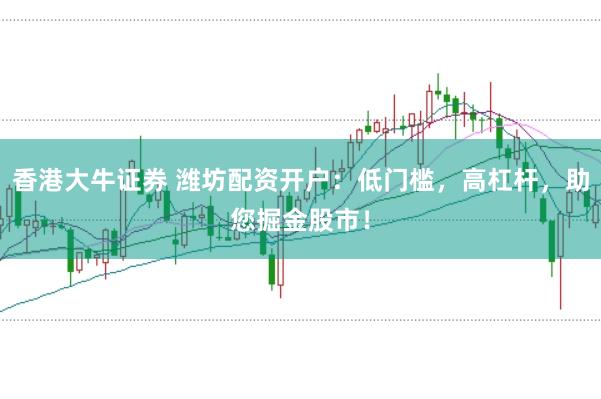 香港大牛证券 潍坊配资开户：低门槛，高杠杆，助您掘金股市！