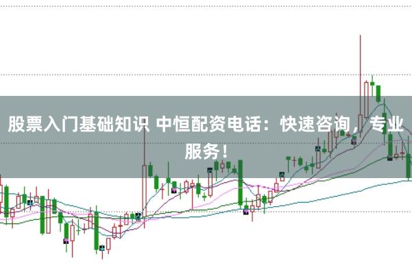 股票入门基础知识 中恒配资电话：快速咨询，专业服务！