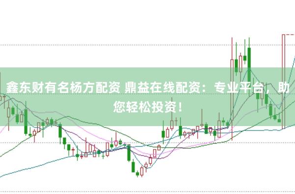 鑫东财有名杨方配资 鼎益在线配资：专业平台，助您轻松投资！