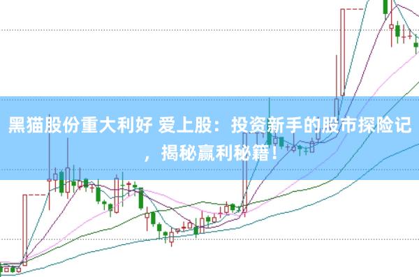 黑猫股份重大利好 爱上股：投资新手的股市探险记，揭秘赢利秘籍！