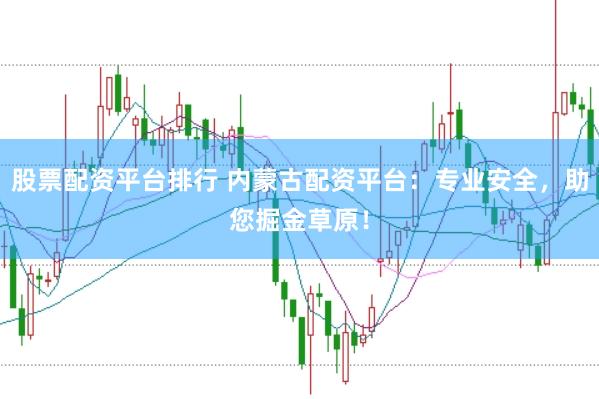 股票配资平台排行 内蒙古配资平台：专业安全，助您掘金草原！