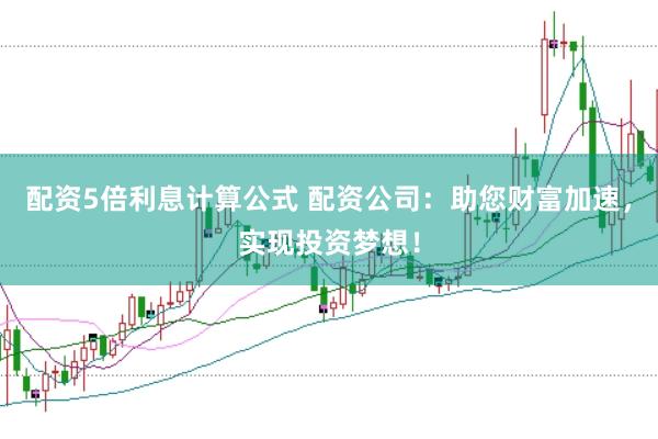 配资5倍利息计算公式 配资公司：助您财富加速，实现投资梦想！