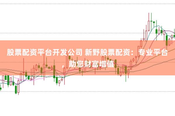 股票配资平台开发公司 新野股票配资：专业平台，助您财富增值