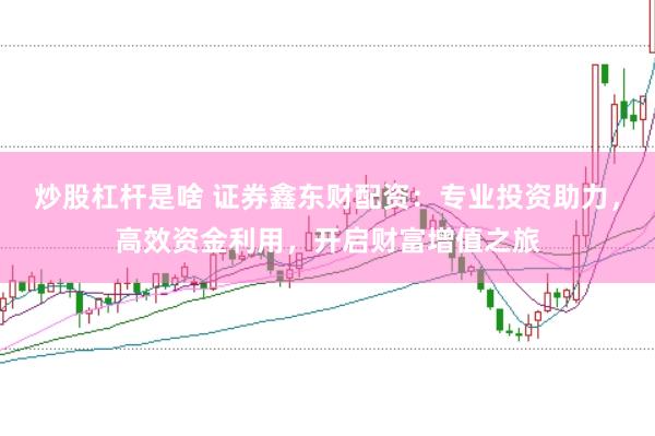 炒股杠杆是啥 证券鑫东财配资：专业投资助力，高效资金利用，开启财富增值之旅