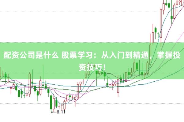 配资公司是什么 股票学习：从入门到精通，掌握投资技巧！