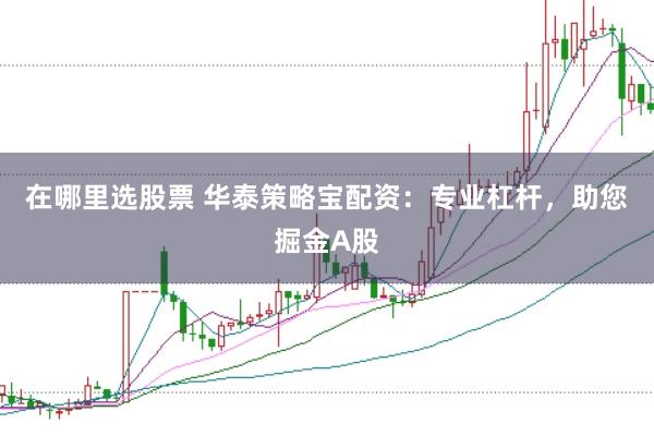 在哪里选股票 华泰策略宝配资：专业杠杆，助您掘金A股