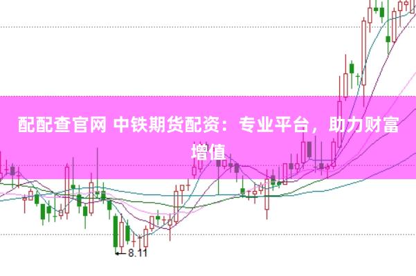 配配查官网 中铁期货配资：专业平台，助力财富增值