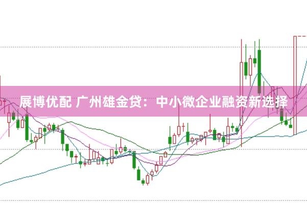 展博优配 广州雄金贷：中小微企业融资新选择